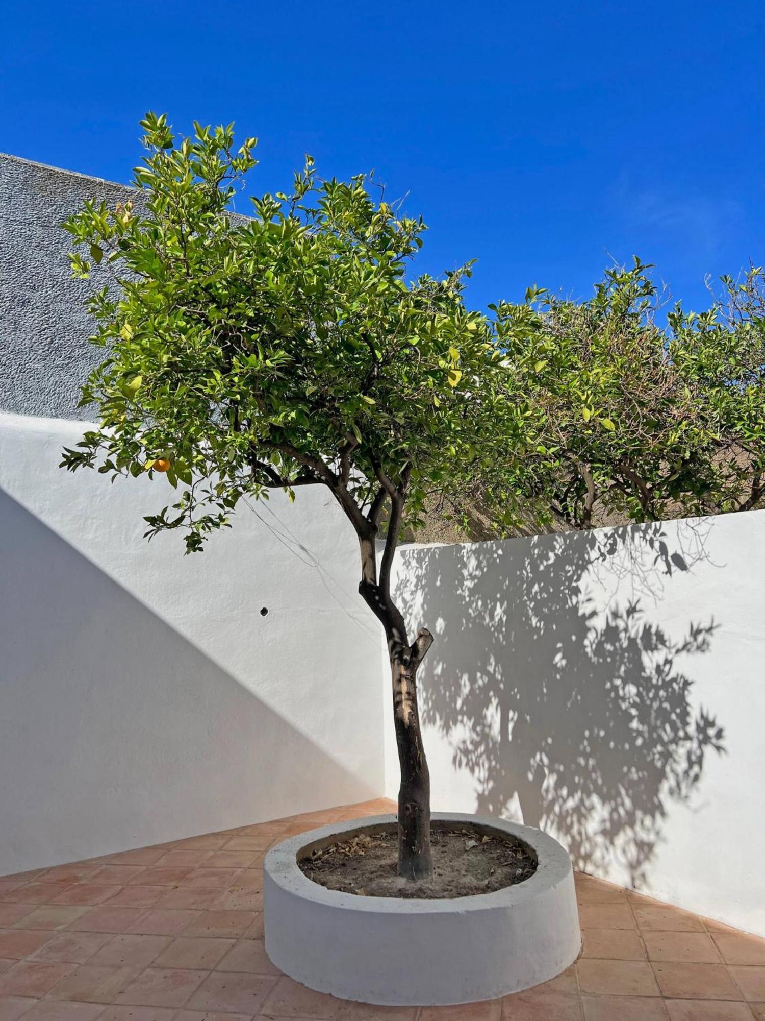 Casa Florence - Fuseta Exteriér fotografie